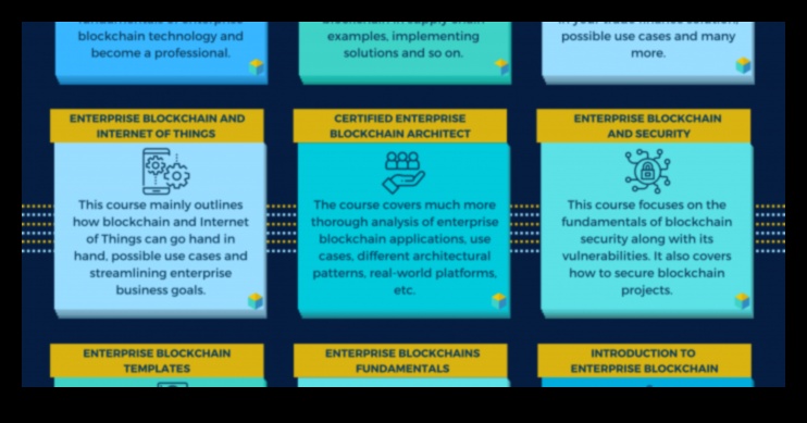 De la concept la clic: călătoria unui profesionist în explorarea blockchain