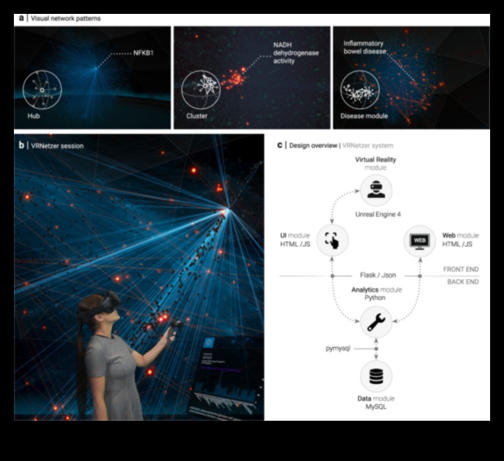 Posibilități de vizualizare: limbajul realității virtuale