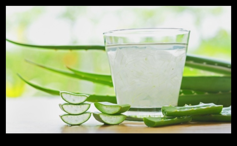 Refresh de dimineață: infuzarea cu Aloe Vera proaspătă face plăcere în ziua ta