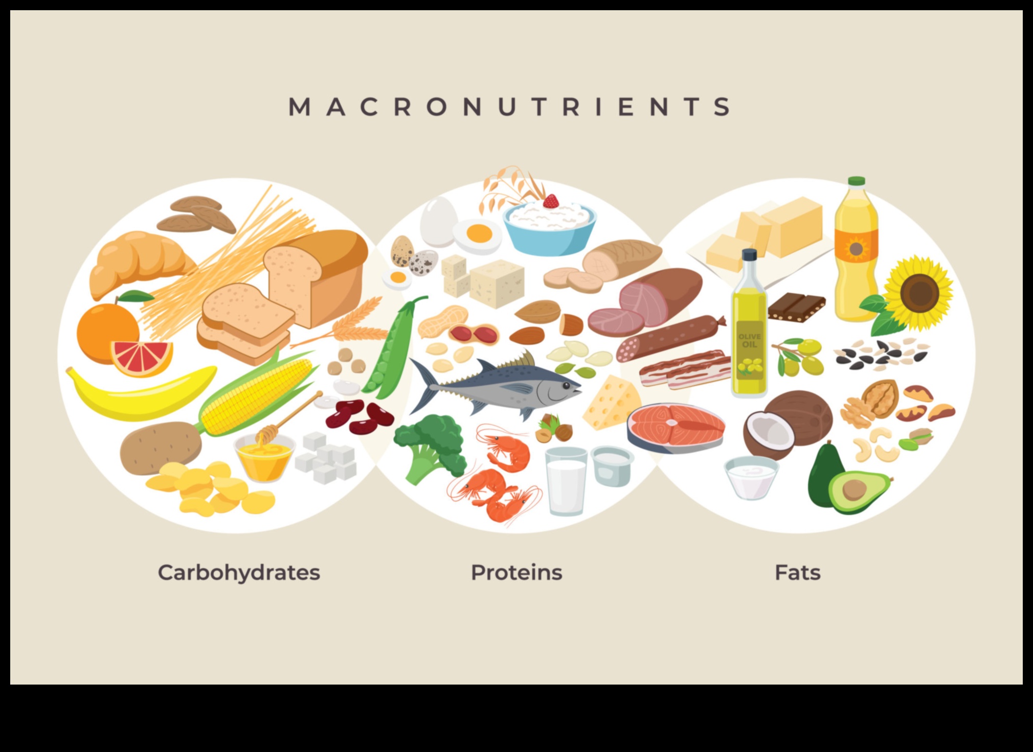 Carbohydrate Symphony: Orchestrarea sănătății prin nutriție