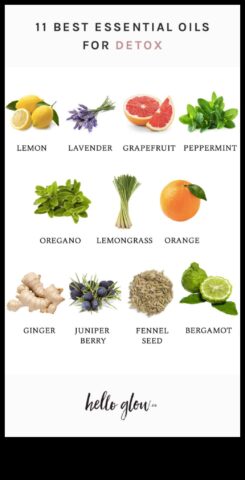 Detox Essentials 7 ingrediente indispensabile pentru beneficii nutriționale maxime