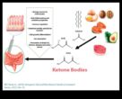 Dieta Keto Prieten sau dușman al inflamației