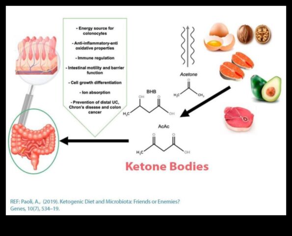 Dieta Keto Prieten sau dușman al inflamației