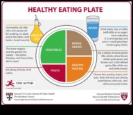 Farfuria echilibrată O călătorie culinară către o nutriție geriatrică mai bună