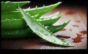 Infuziile pline de nutrienți vă sporesc experiența cu băutura cu Aloe Vera