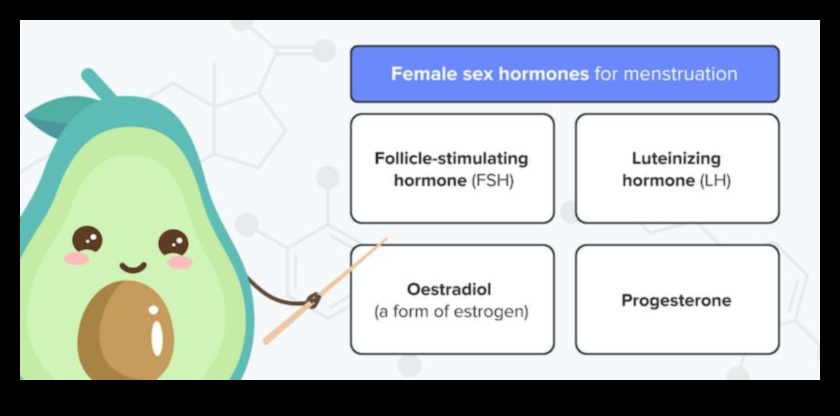 Keto și sănătatea menstruală: o perspectivă cuprinzătoare