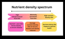 Spectrul de nutrienți O scufundare profundă în valoarea nutrițională